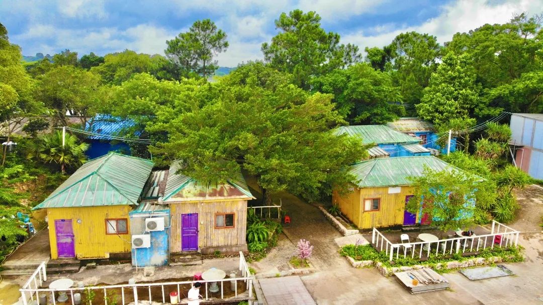 10分钟坐船能到的海岛,火山岛一日游攻略坐船