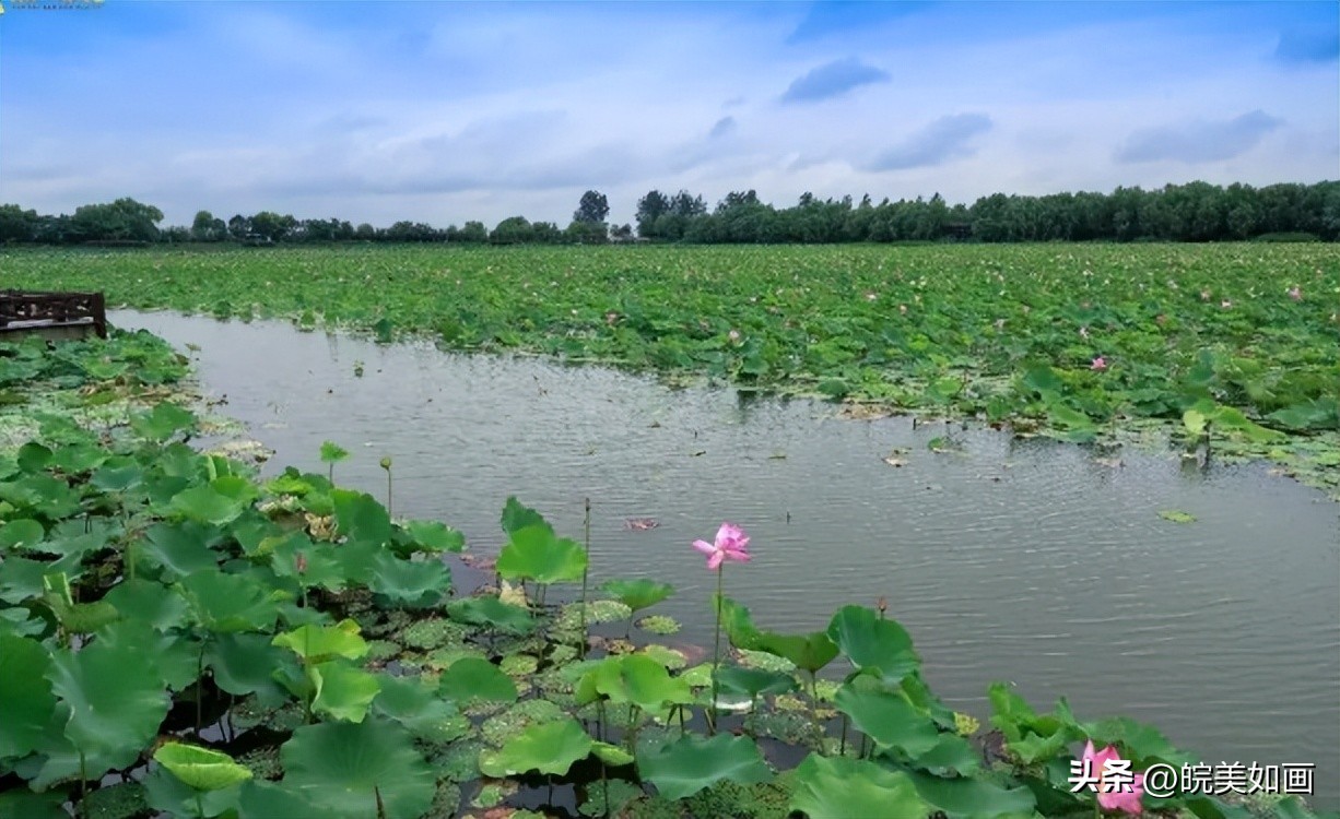 小众目的地冷门避暑景点,皖北地区避暑胜地有哪些
