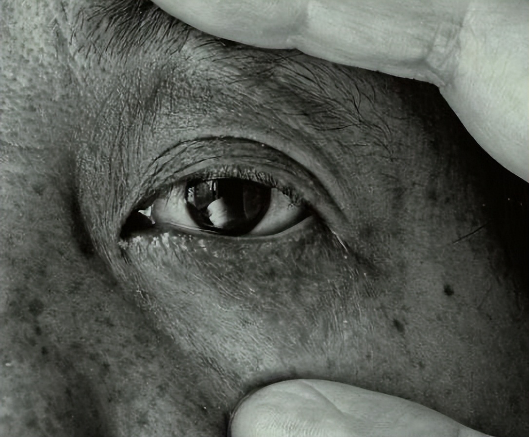 林志颖车祸后首次现身，一句话引人泪目