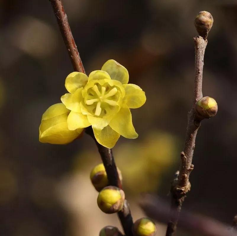 每日一句英语,每日一习