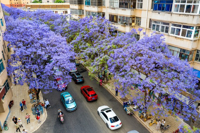 为什么现在昆明好多地方在卖商铺,为什么昆明很多商铺在出售