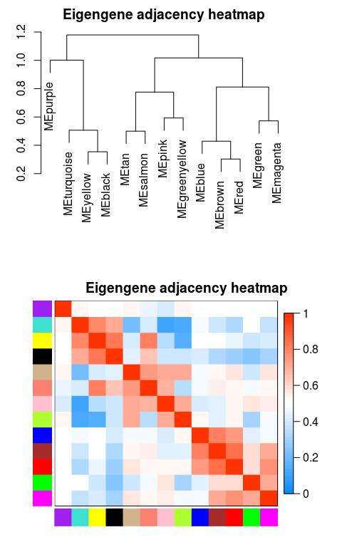 WGCNA分析的作用,什么是wgcna分析