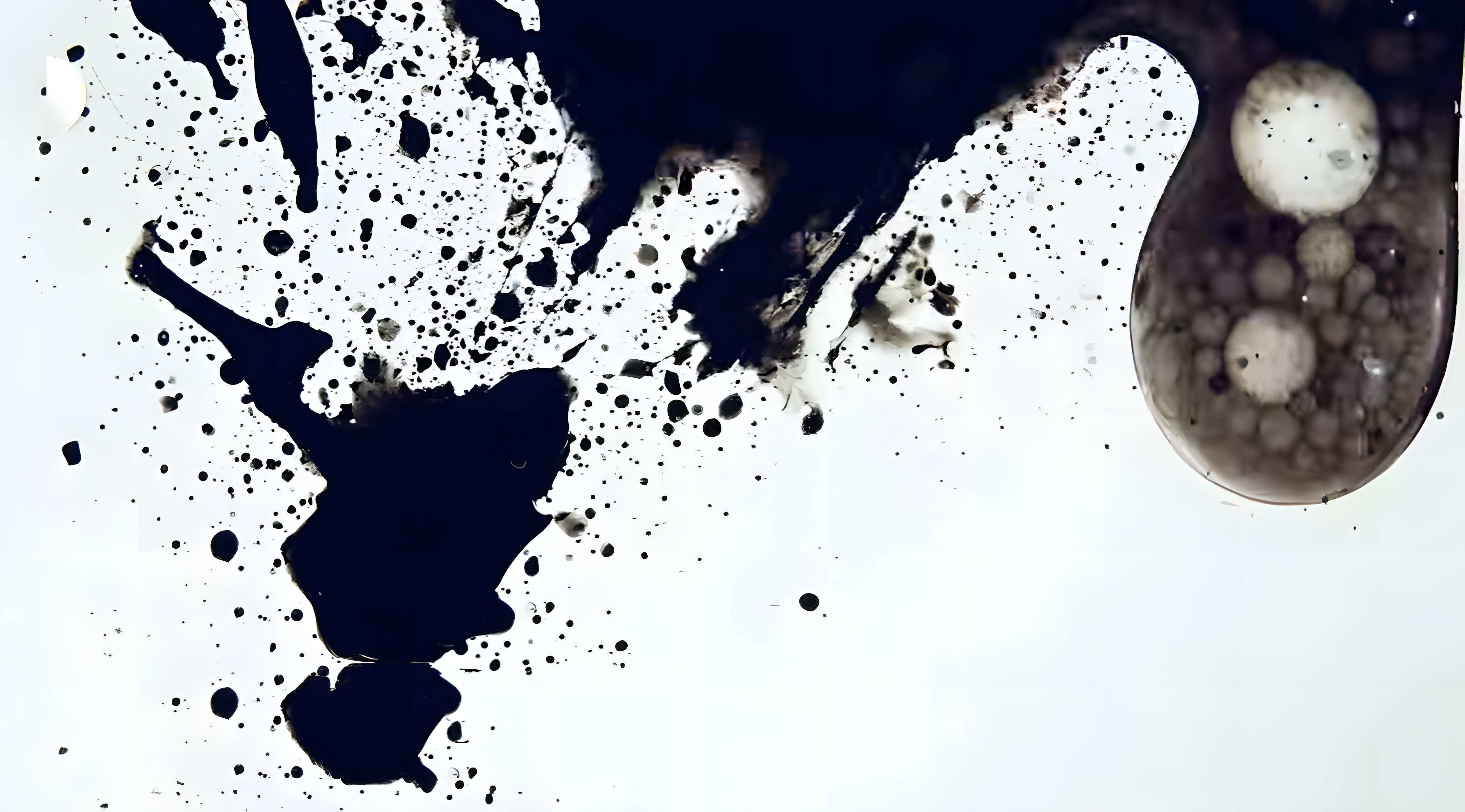 地球上最贵的物质排名,地球上最贵的矿泉水是哪一种