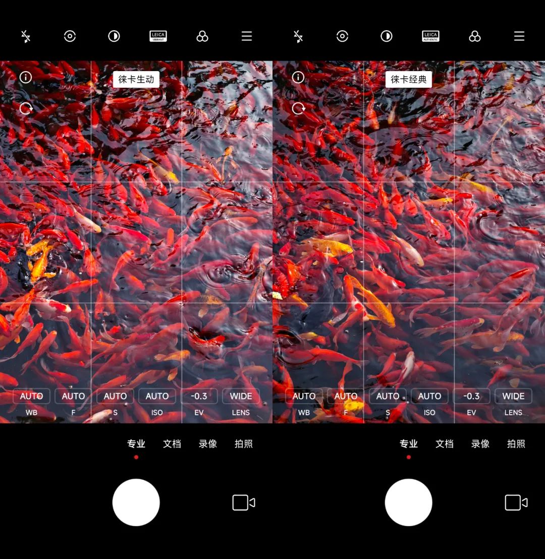 小米手机专业模式拍夜景,小米手机专业模式拍照教学