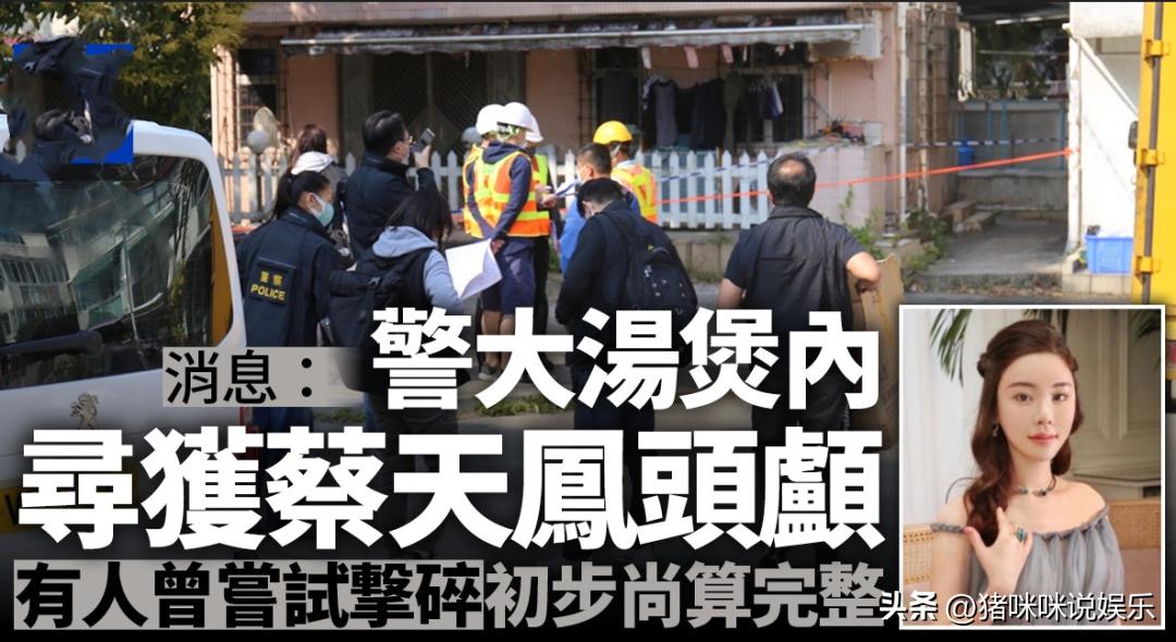 名媛碎尸案影响,名媛碎尸案凶手