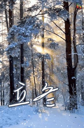 癸卯兔年开始的节气,兔年每月有几个节气