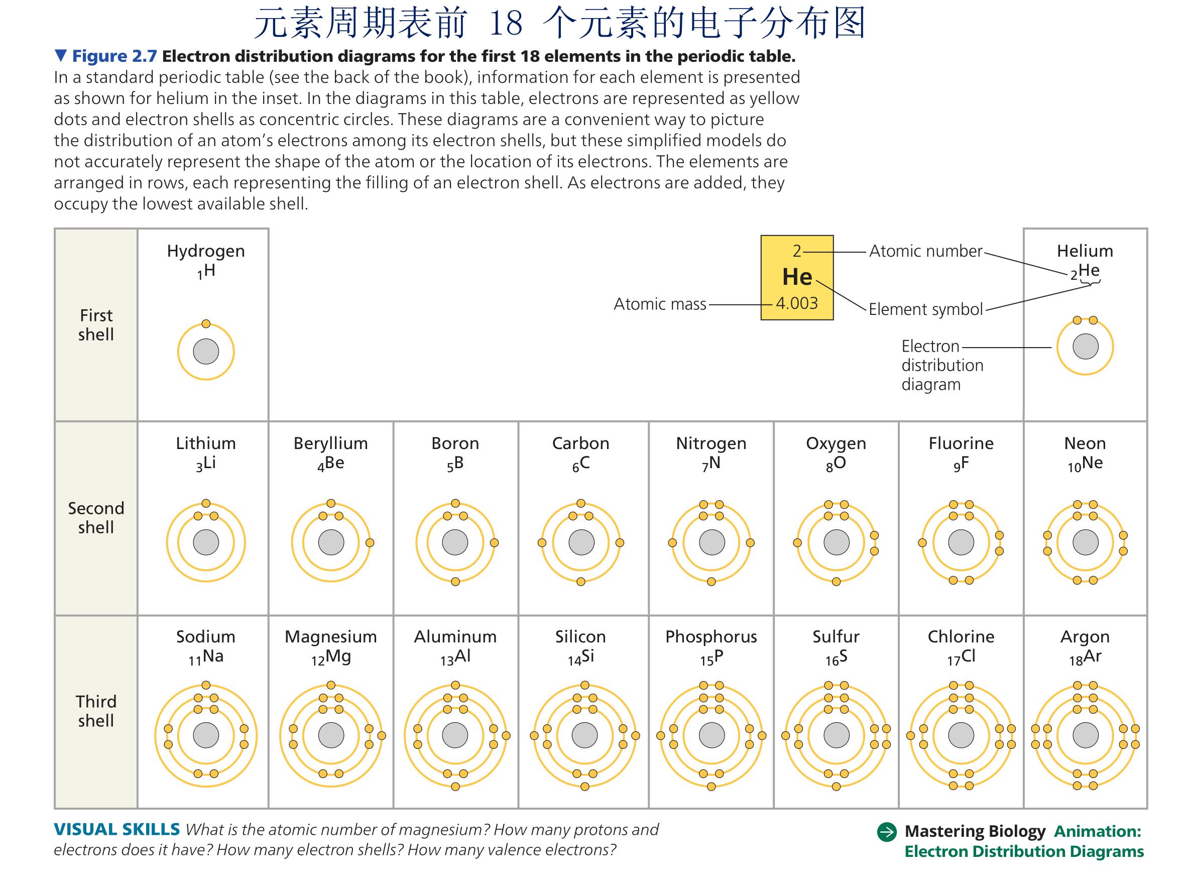 小学900个英语高频词汇,小学核心词汇1000词精讲