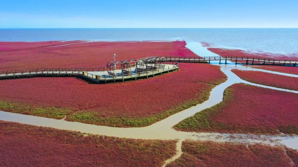 旅游图片合集多张海边,七月的红海滩景色怎么样