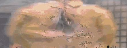 盘点雷人的抗日剧跟鬼子单挑,雷人抗日神剧盘点裤裆藏雷