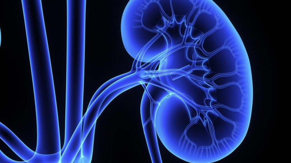 小儿急性肾小球肾炎致病菌,引起急性肾小球肾炎的病原体是