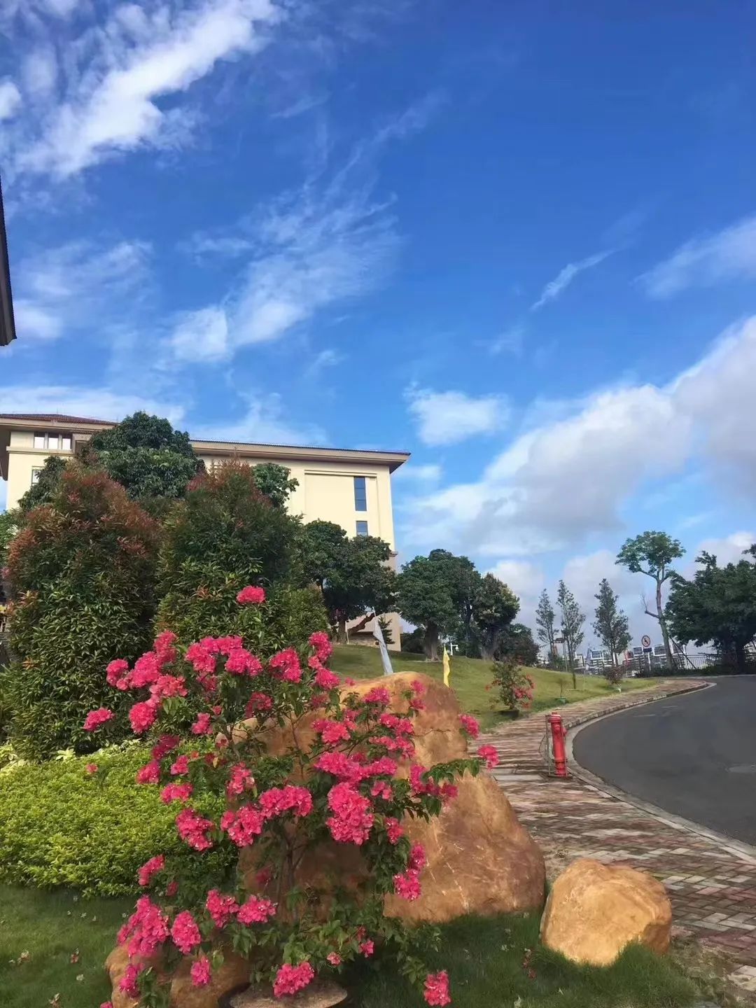 日本居家养老服务护理流程,日本养老护理培训合作