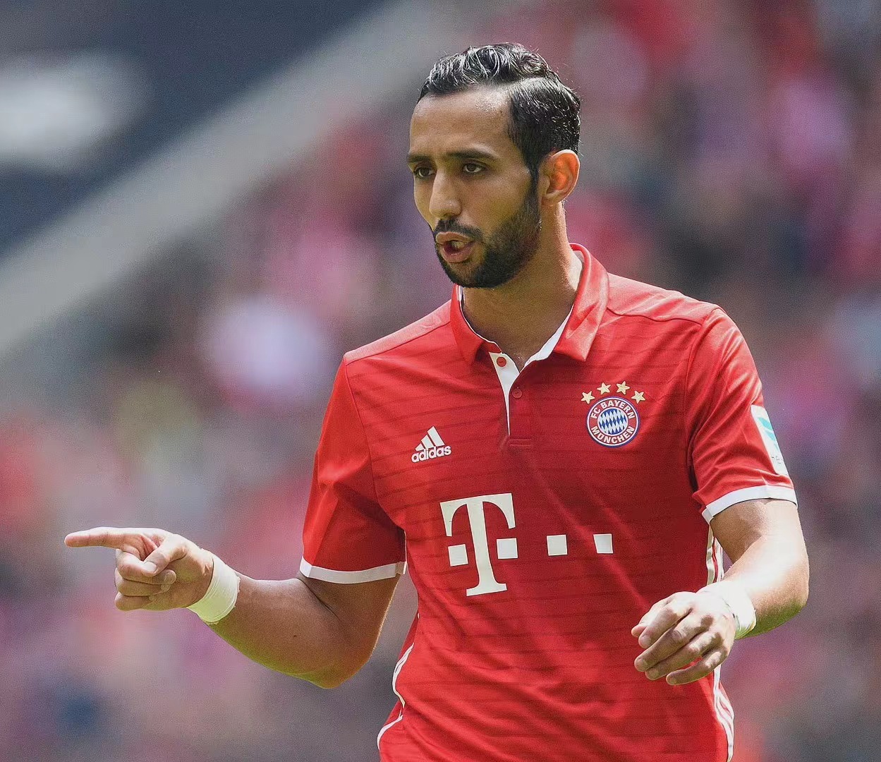 雄狮怒吼片段,雄狮吼叫穿透力