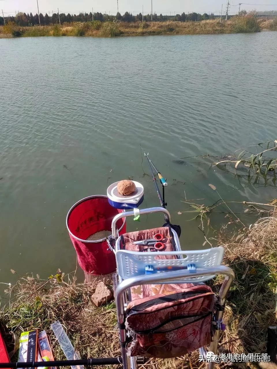 老鬼鲜蚯蚓拉饵多少钱,老鬼鲜蚯蚓拉饵怎么样