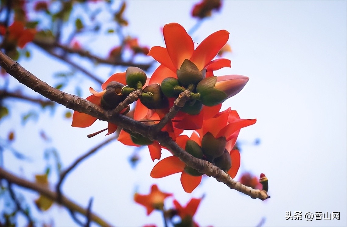 珠海学校排名前十名,珠海好一点的学校