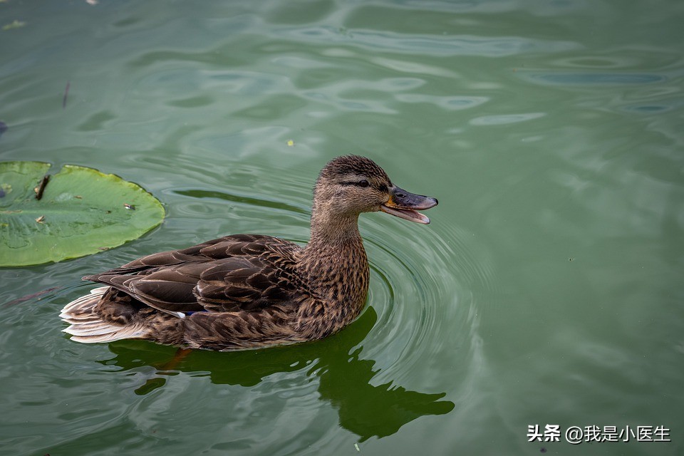 流行性感冒病毒感冒症状,流行性感冒会有什么症状