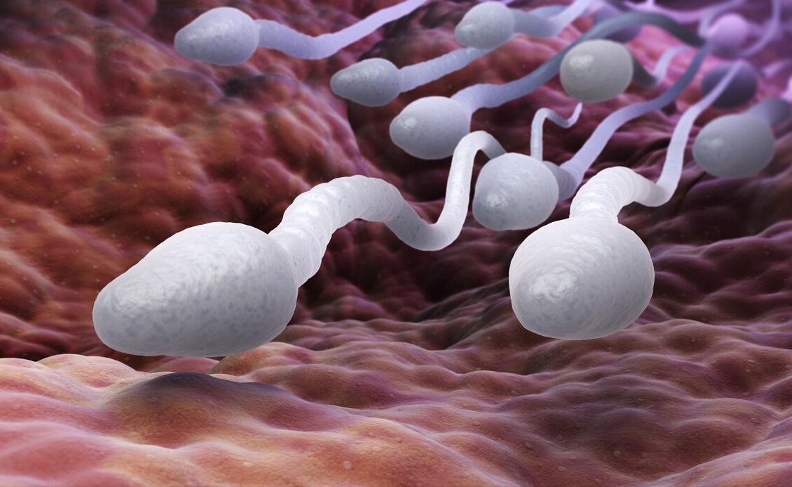 只有一个精子怎么会有双胞胎,只有一个精子正常能受孕吗