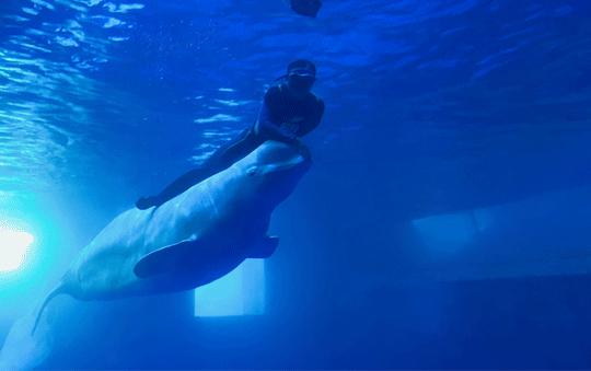 秦皇岛五一放假安排公布连休5天,秦皇岛五一旅游最新通知