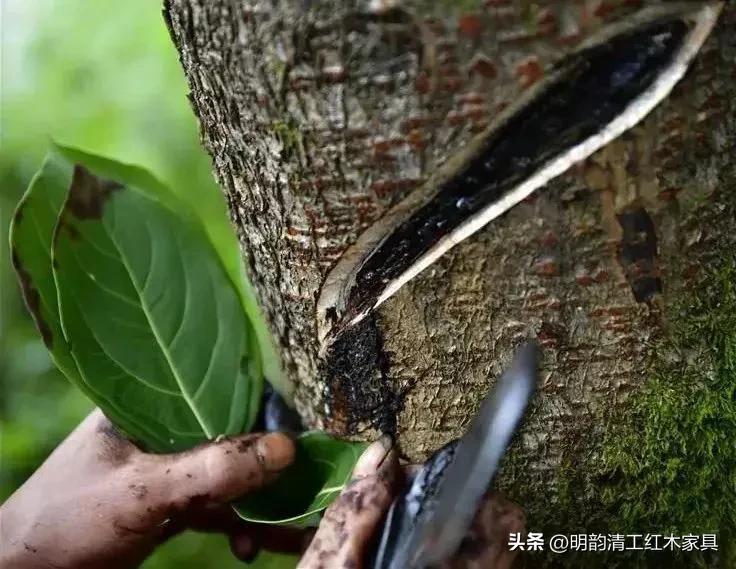 生漆工艺的好处,生漆工艺和油漆工艺的区别