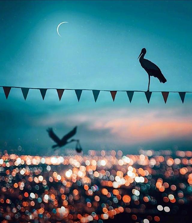 伤感唯美文字短句图片,唯美的句子说说心情图片带字