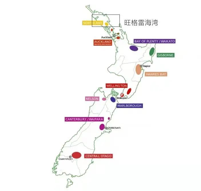 顶流葡萄酒,王牧笛法国尼斯