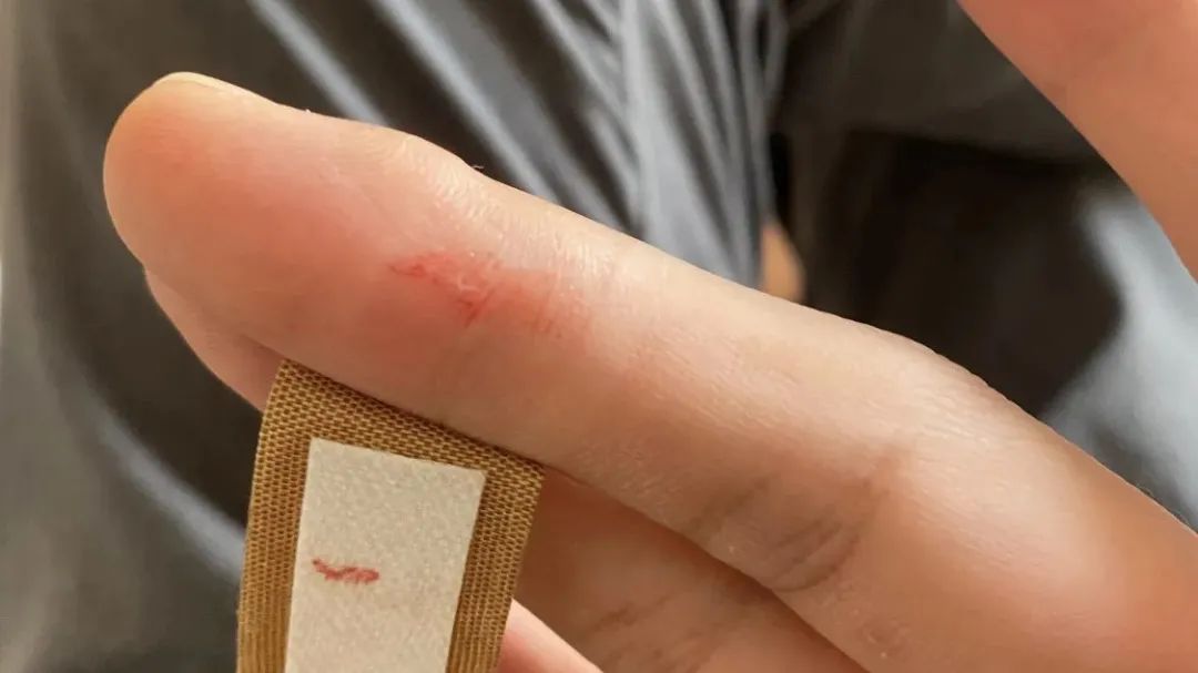 看到苹果你会想到什么呢,看到苹果你会想到哪些东西