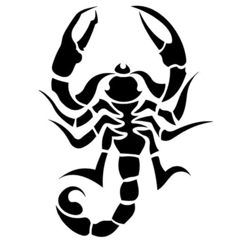 蝎子扎堆蜇人吗,东北有野生蝎子蜇人有生命危险吗