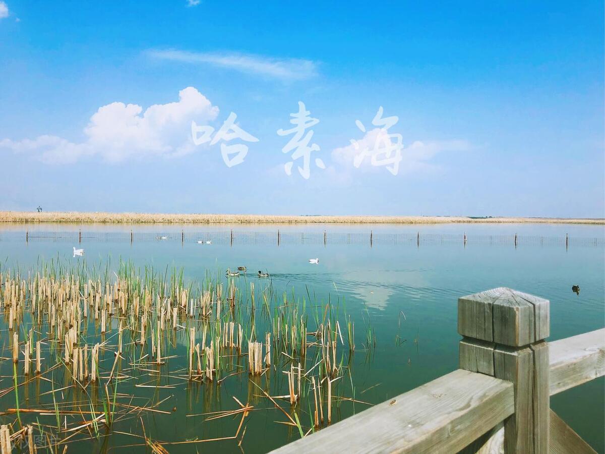 内蒙古呼伦贝尔旅游攻略,呼伦贝尔旅游景点推荐一日游路线