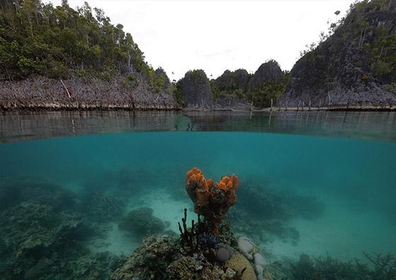 无印良品在中国的发展历程,无印良品的中国式崛起