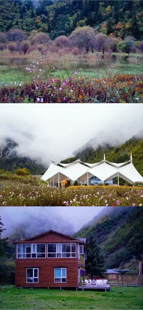 成都秋天一天游最佳地方,成都周边一日游自驾秋天