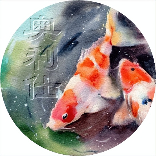 锦鲤尾巴长得慢怎么办视频,国产锦鲤为什么长得慢