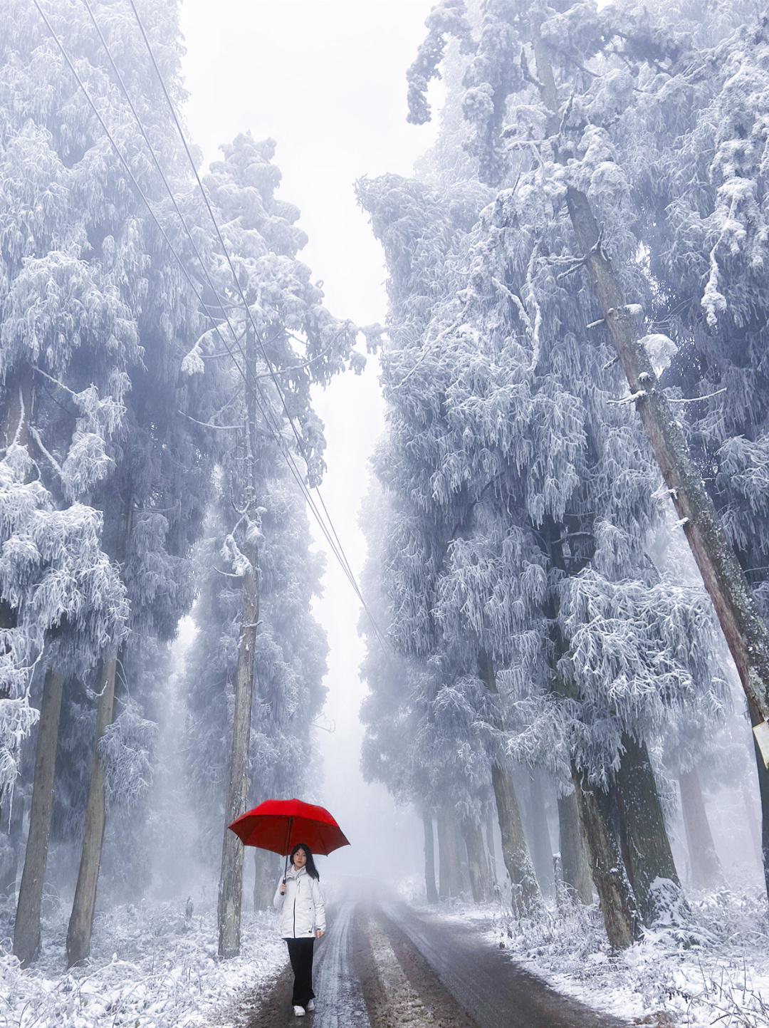 又要堆起雪了！成都开车1.5h就到！免费小众，吃豆腐宴、逛古镇！