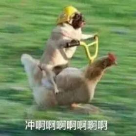 格力海尔美的空调秒杀价,海尔和格力空调哪种价格划算