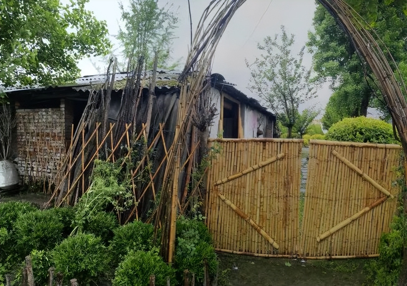 闲置猪圈变身小清新茶舍,3位80后妈妈在郫都打造向往的田园生活