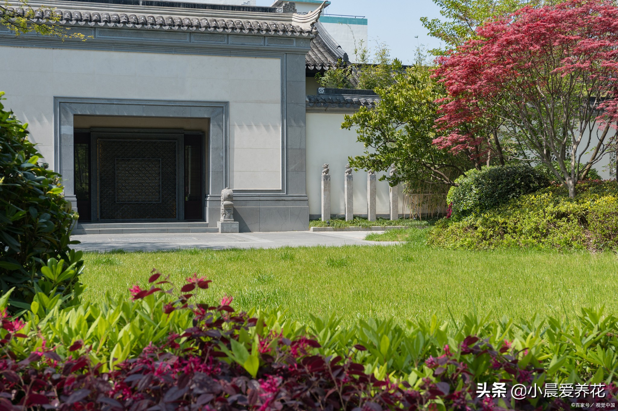 田地里的草不用除草剂怎么除,如何不用除草剂清除杂草