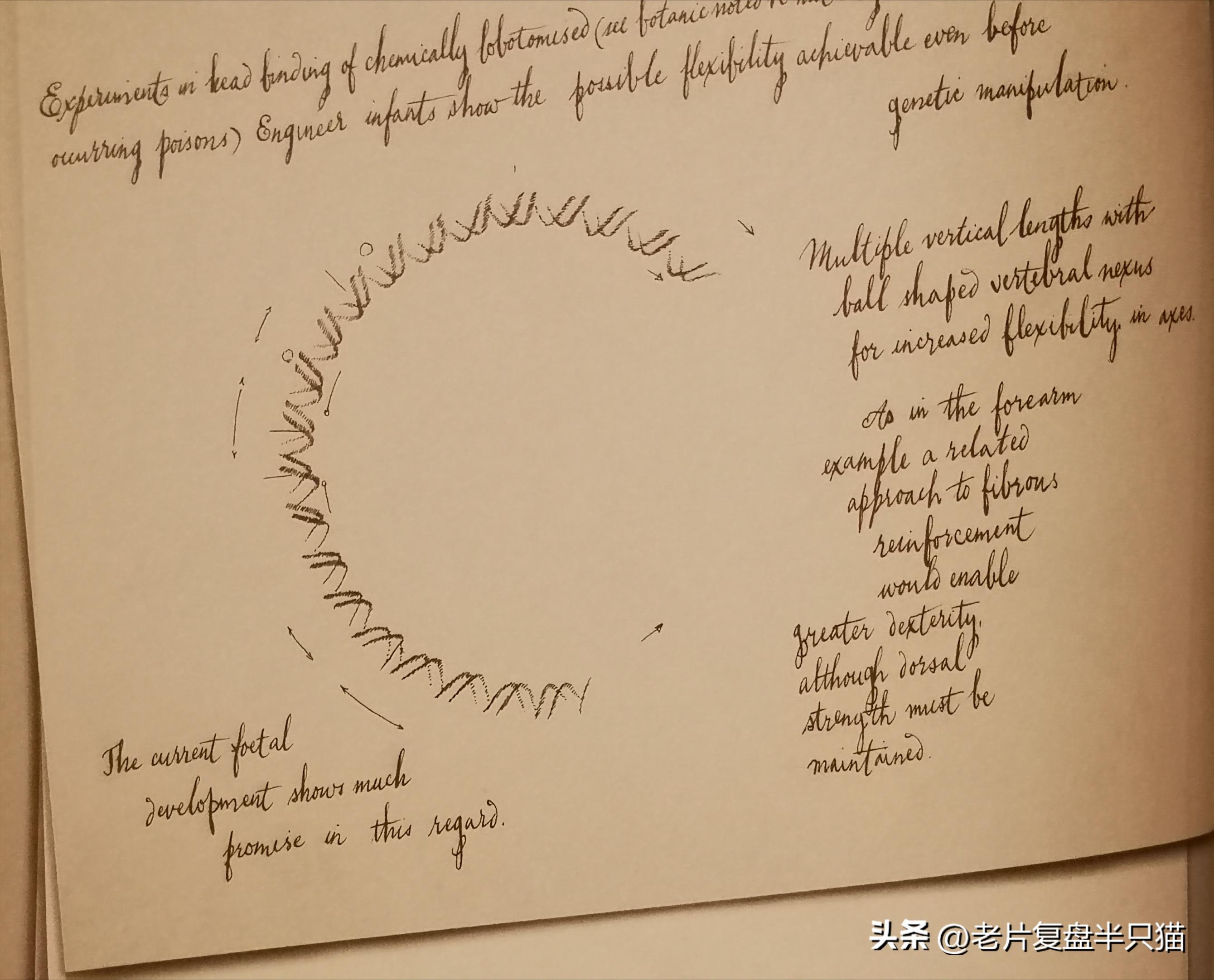 仿生人大卫的秘密,仿生机器人大卫