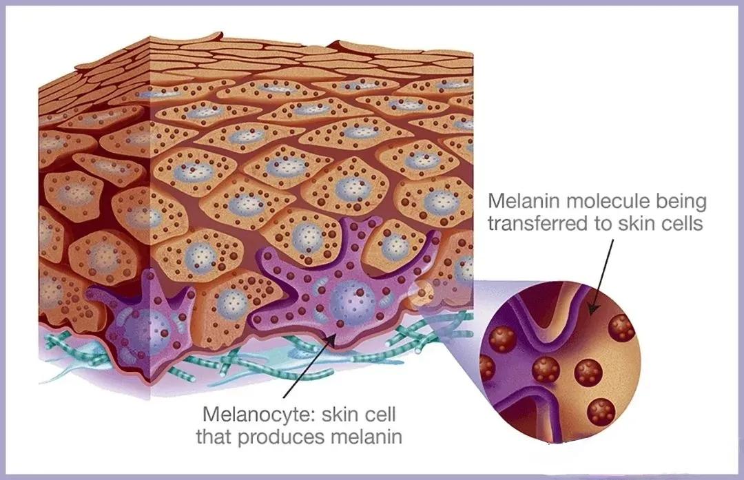私密护理产品是智商税吗,私密护理液是不是智商税