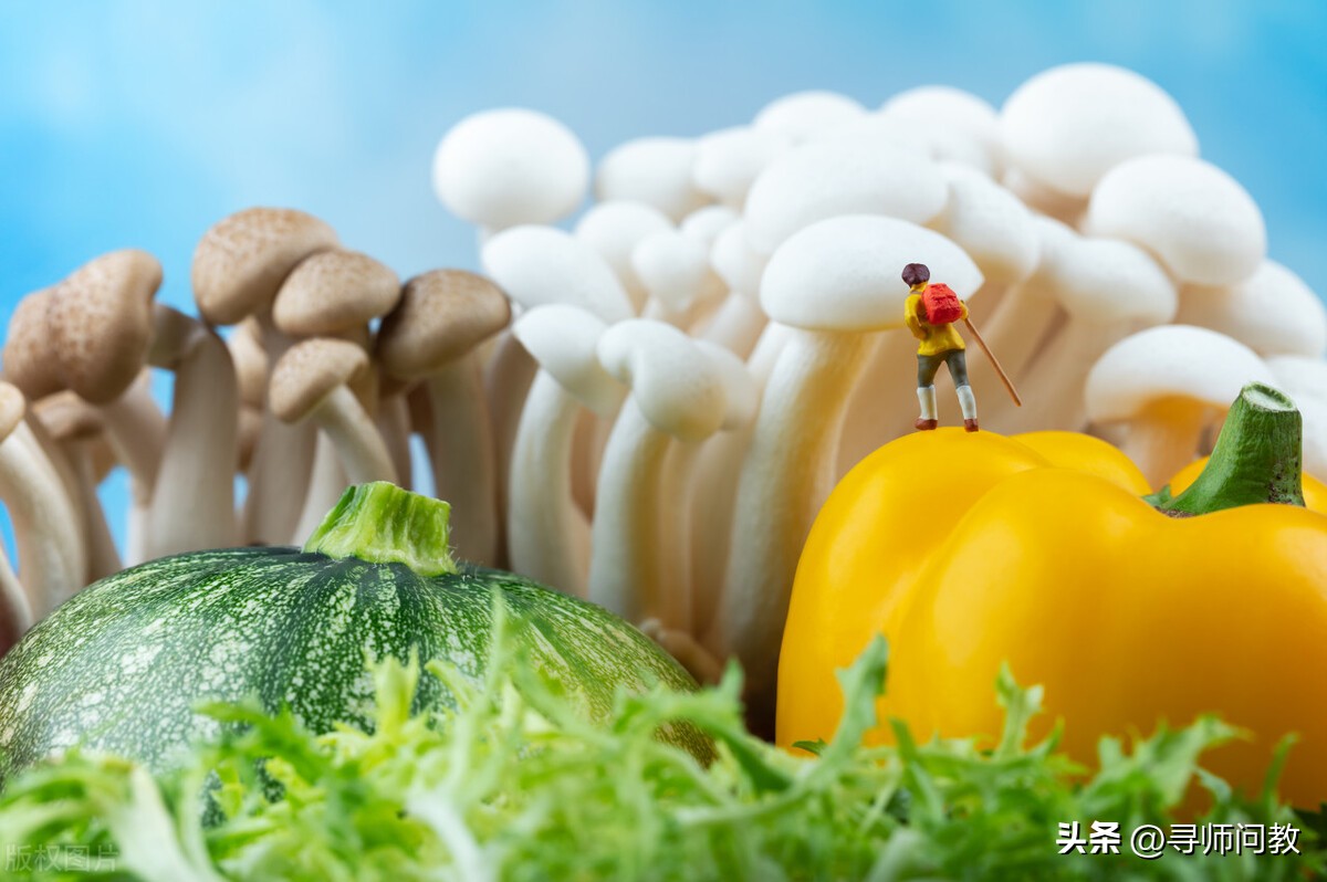 摩羯座2023年感情运势最新,摩羯座2023年运势感情