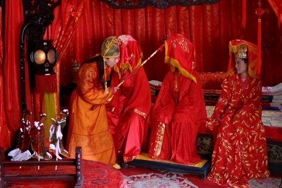 中科院微生物研究所白逢彦,中科院微生物研究所食用菌种