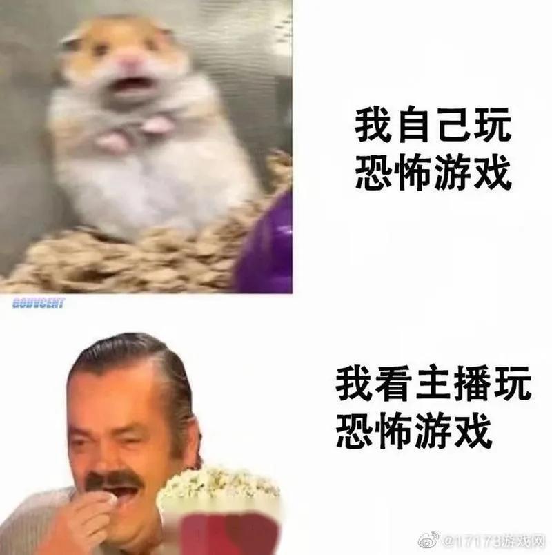 人间最真实搞笑的图片,搞笑图片人间真实系列