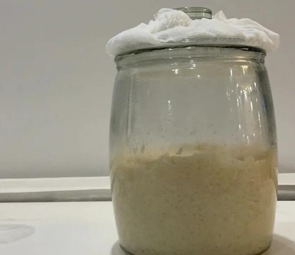 家庭自制米酒的简单做法,家庭米酒制作方法及步骤