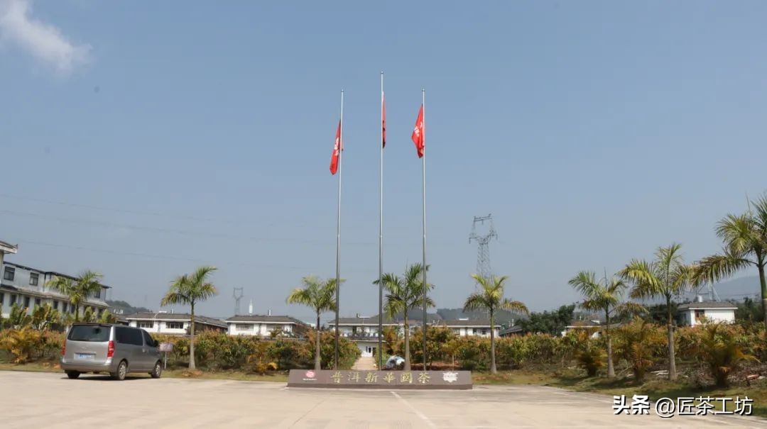 华普昌丨探索普洱茶高端品质，开启茶行业华丽篇章！