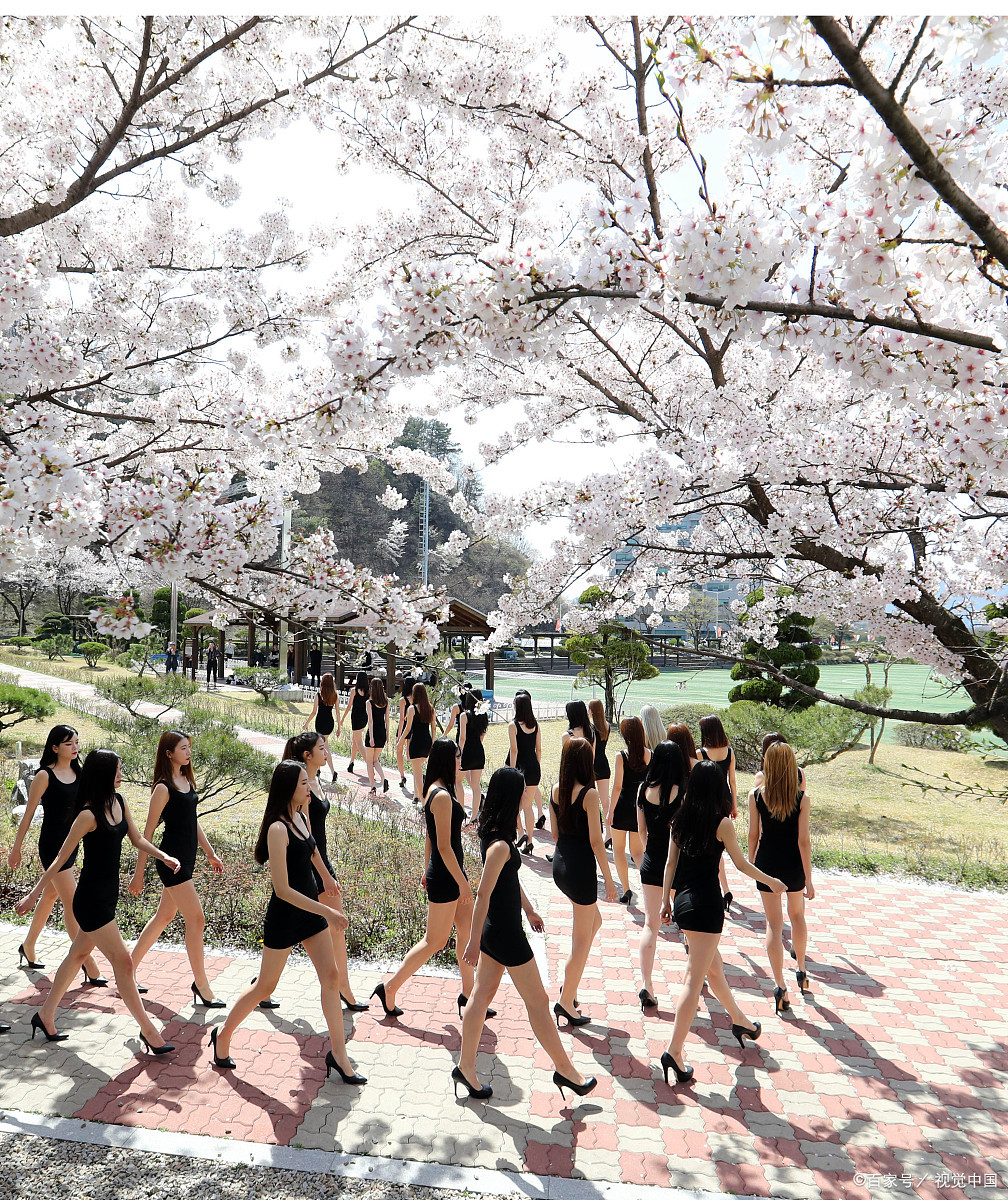 网络与新媒体专业就业前景和工资,测绘遥感研究生专业就业前景工资