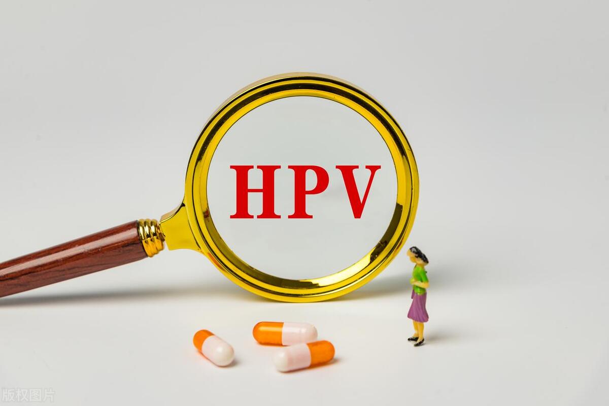 哪些野菜对癌症有效,癌症最怕的野菜马兰头图片