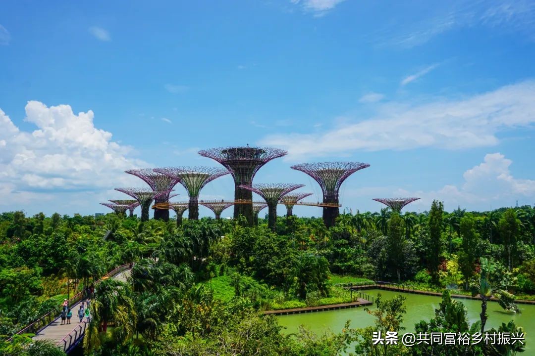 2023年全国乡村振兴优秀案例,乡村振兴典型案例5000字材料