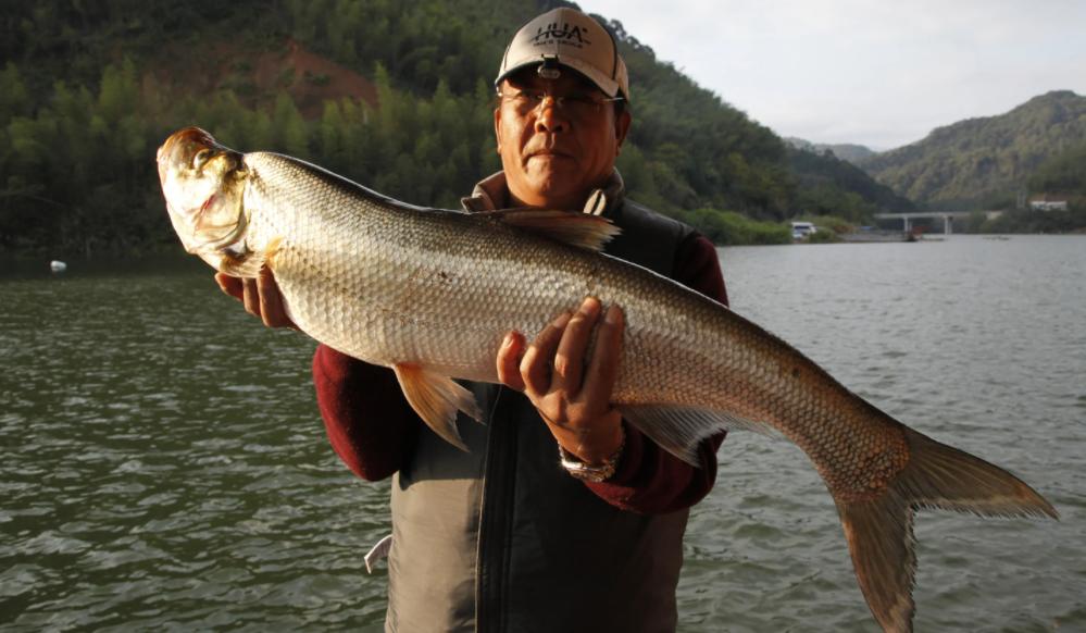 为什么现在野钓鱼越来越难钓,跟着大师学钓鱼越来越钓不到鱼