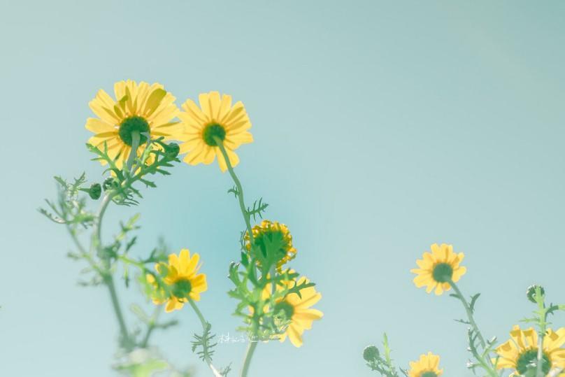 命不好的人身上往往有三个通病,命不好的人有什么面相特征