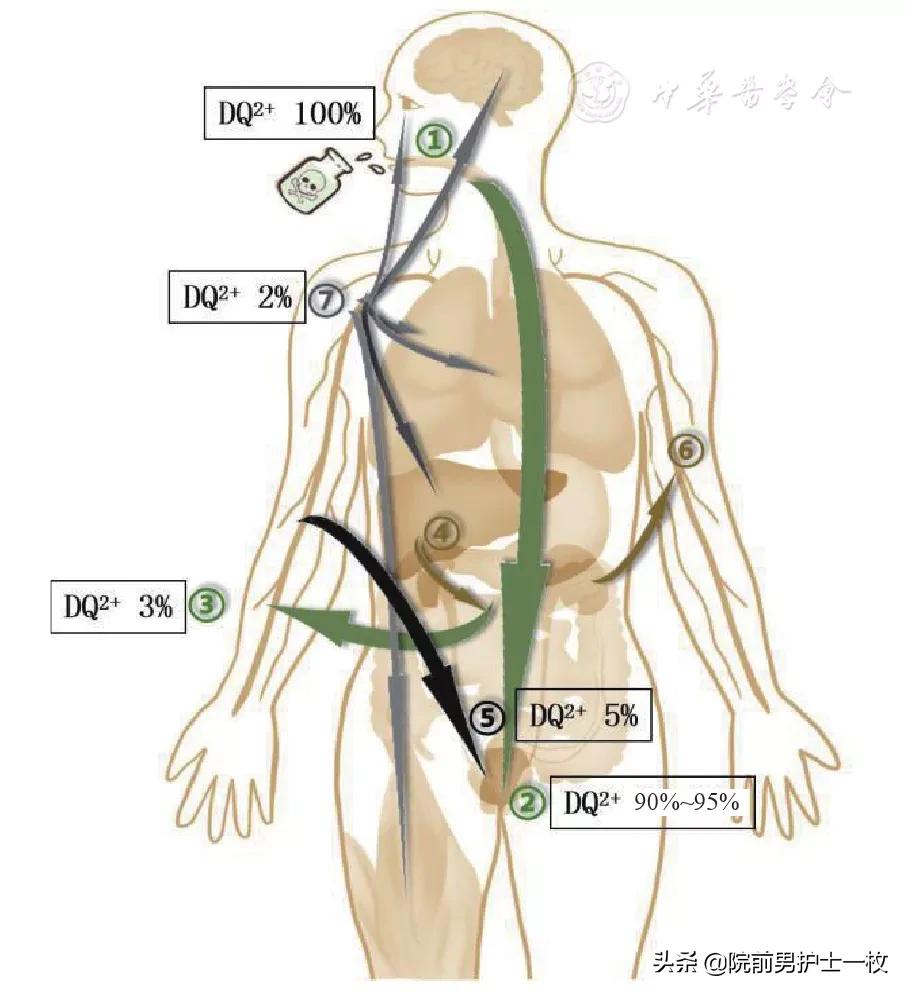 除草剂中毒要用阿托品吗,敌草快中毒治疗专家共识