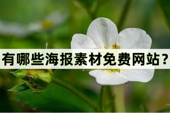 做海报免费素材网站有哪些,素材海报应该去哪儿找