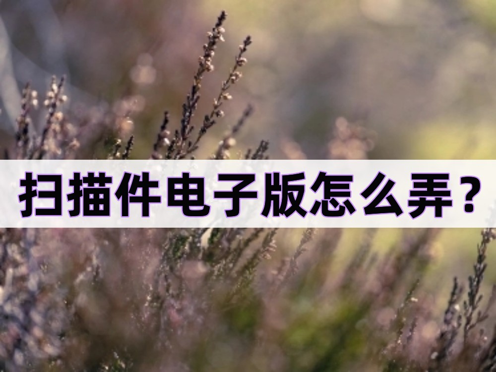 扫描文件怎么弄成电子版教程,扫描王怎么扫描电子版文件