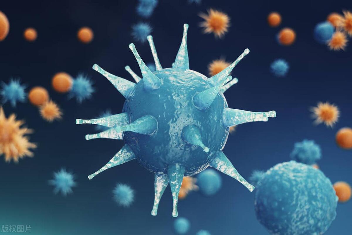 支气管炎反复发烧的孩子怎么护理,小孩支气管炎4天反复发烧怎么办